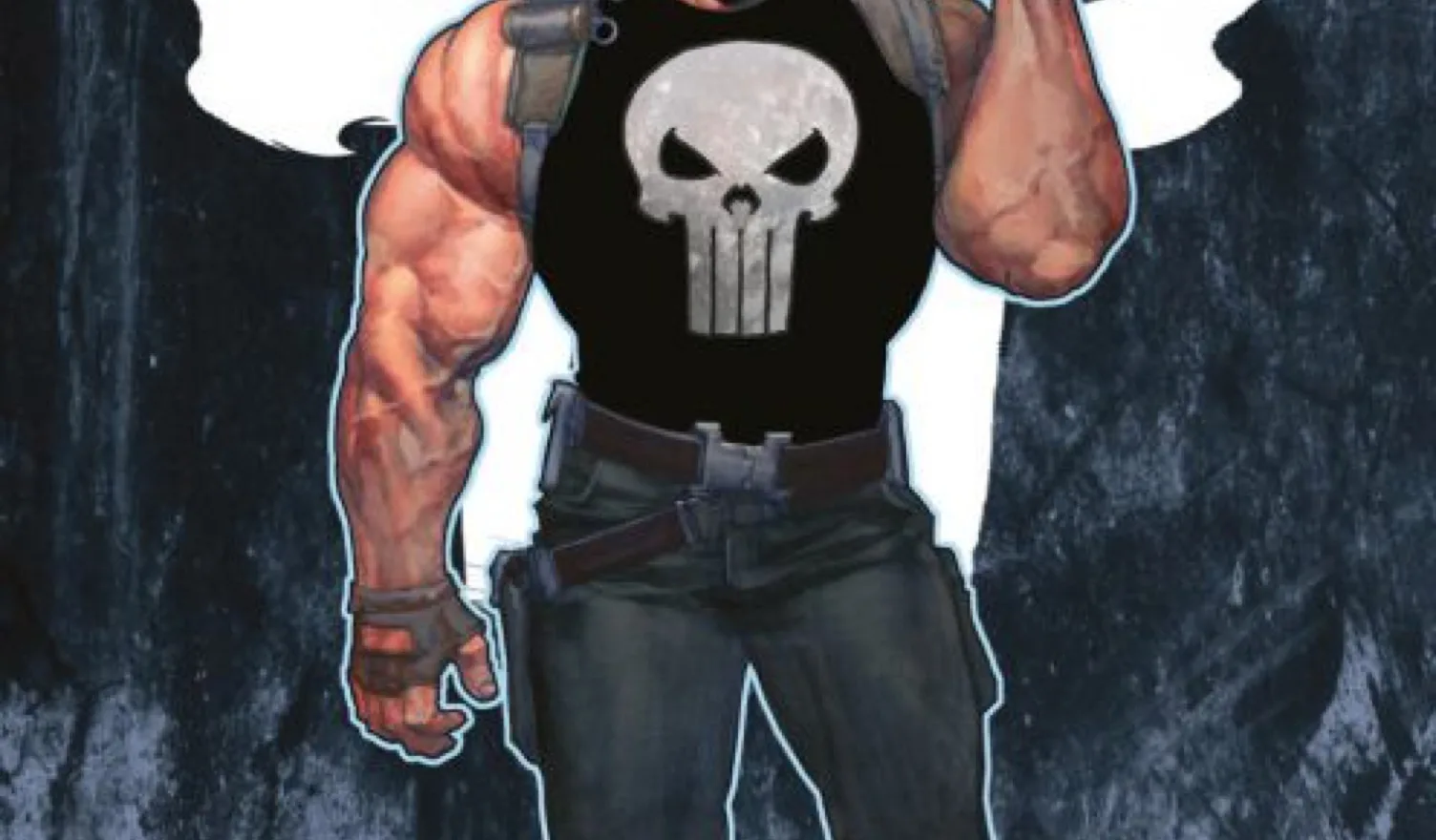 Du betrachtest gerade Punisher: Das erste Jahr