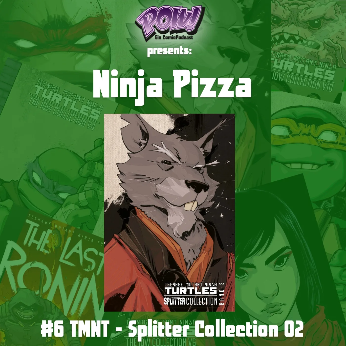 Read more about the article Ninja Pizza – #6 TMNT – Splitter Collection 02